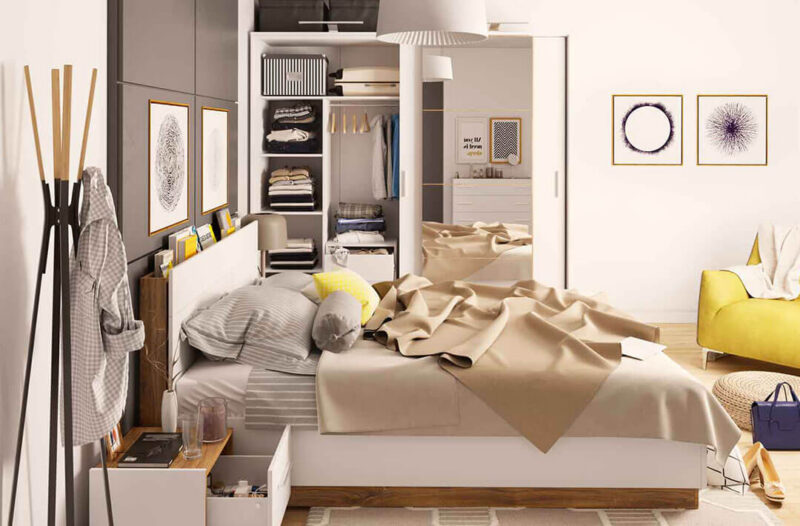 Dentro Collection